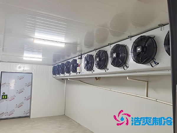 建造500平方米梨子保鲜泡芙APP短视频的费用是多少？-泡芙视频官网下载免费制冷
