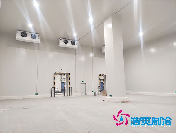 1000吨泡芙APP短视频造价费用