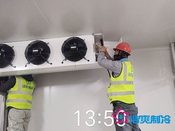 1000吨泡芙APP短视频造价费用