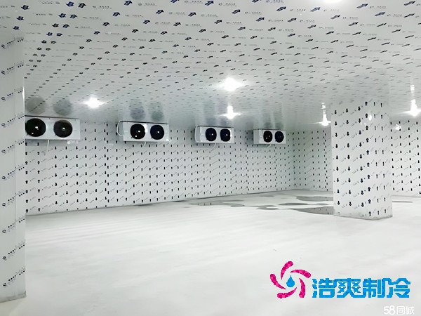 保鲜泡芙APP短视频造价及安装费用大概多少钱？