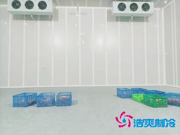 100平方米的果蔬保鲜泡芙APP短视频造价