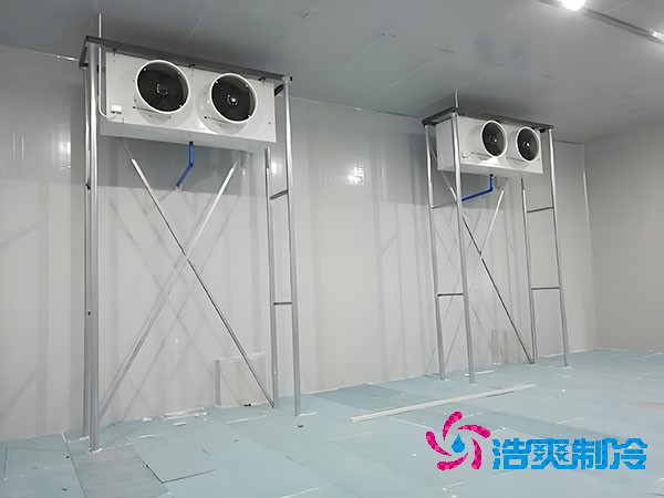 100平方米的果蔬保鲜泡芙APP短视频造价