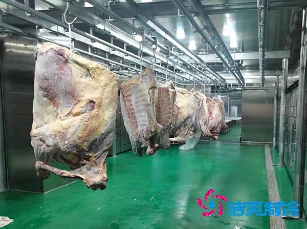 不锈钢泡芙APP短视频建设造价费用大概需要多少钱？