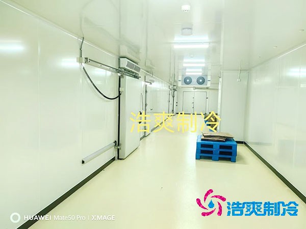 上海建造泡芙APP短视频安装价格多少钱？-泡芙视频官网下载免费制冷