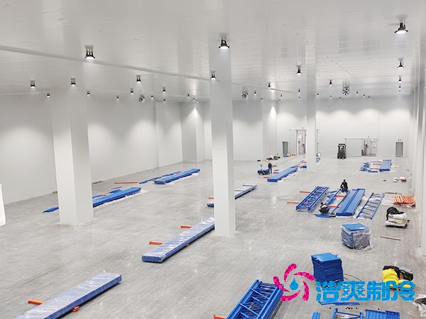 自建泡芙APP短视频的成本与维护费用概述