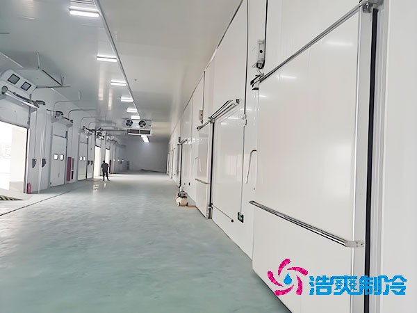 500吨容量泡芙APP短视频造价