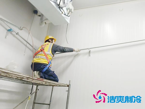 500吨容量泡芙APP短视频造价