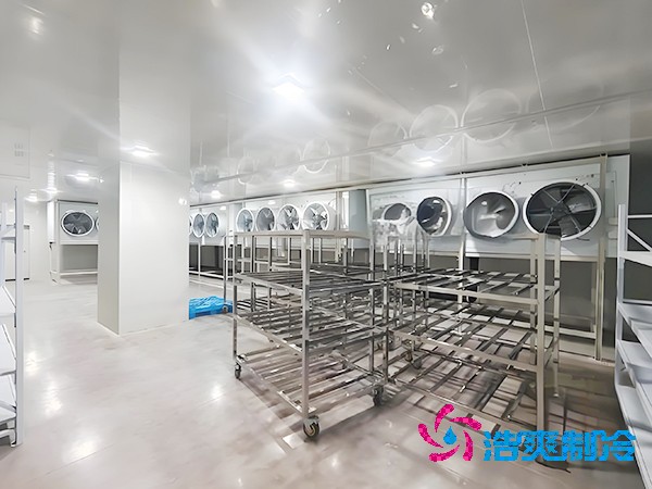 海鲜速冻泡芙APP短视频造价