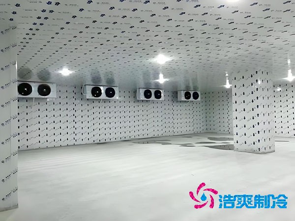 海鲜泡芙APP短视频建设成本