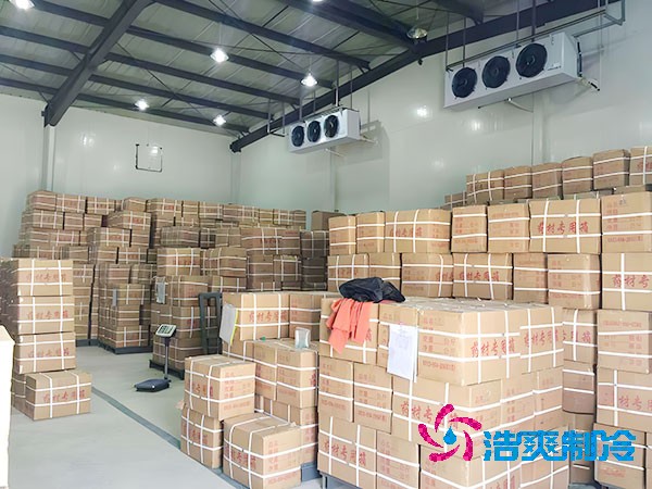 千吨级食品泡芙APP短视频造价预算