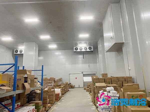 保鲜泡芙APP短视频造价概览，果蔬保鲜库费用解析