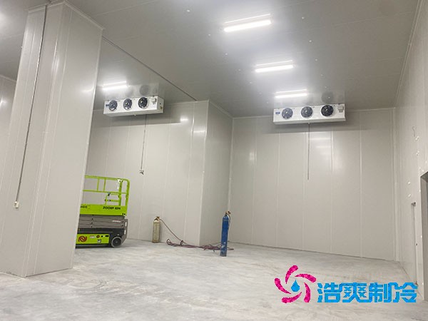 雪糕低温泡芙APP短视频建造价成本