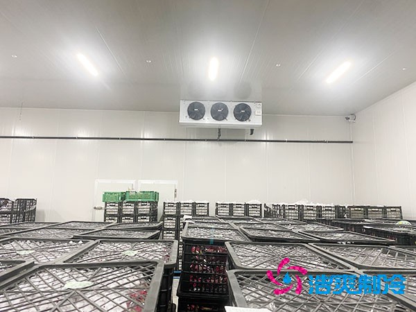 想知道保鲜泡芙APP短视频设计安装要花多少钱？-泡芙视频官网下载免费制冷