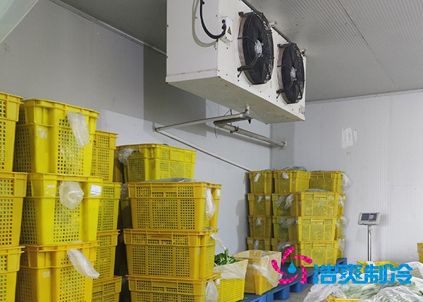 农副产品保鲜泡芙APP短视频造价预算