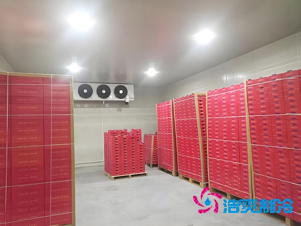 槟榔保鲜泡芙APP短视频安装造价费用多少钱？-泡芙视频官网下载免费制冷