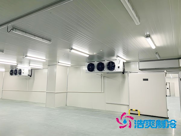 农村泡芙APP短视频安装造价
