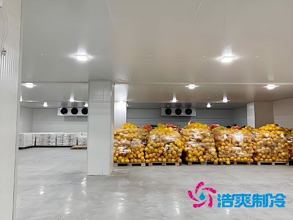10万元能建造多大规模的泡芙APP短视频？可以用几年？