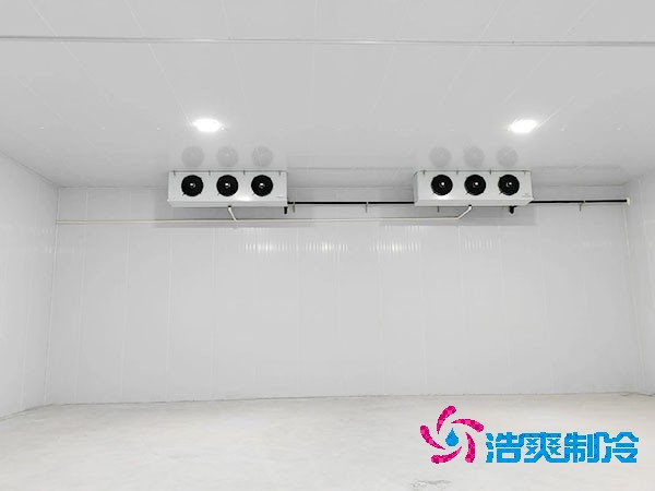 泡芙APP短视频建设