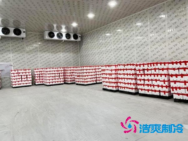 食品保鲜泡芙APP短视频设计规范要求标准已更新
