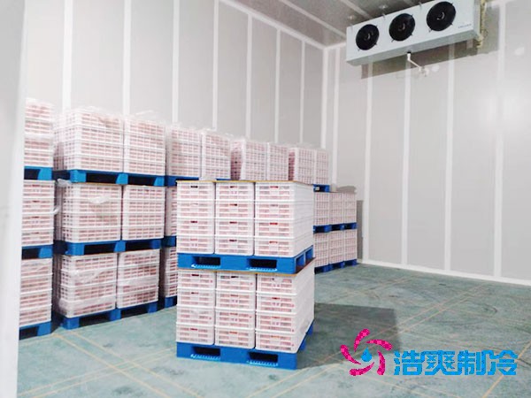 食品保鲜泡芙APP短视频设计规范要求标准已更新