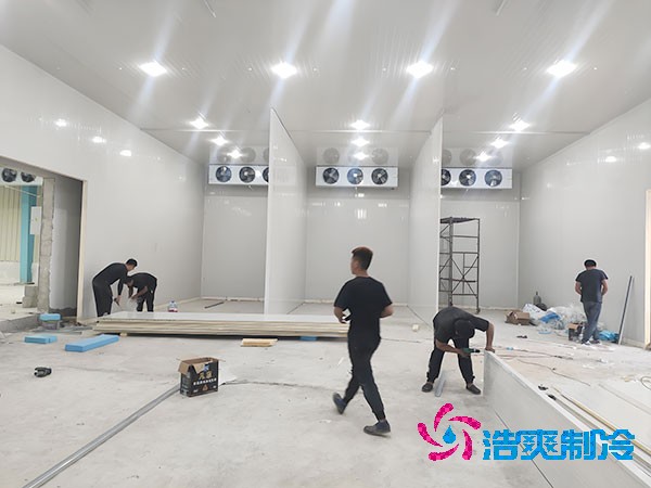 上海食品保鲜泡芙APP短视频价格