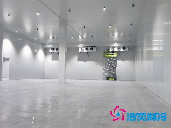 食品泡芙APP短视频建造价格