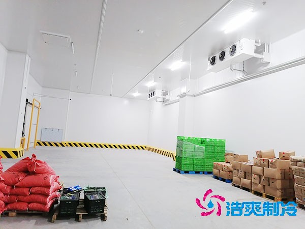 食品加工泡芙APP短视频安装要求标准规范更新
