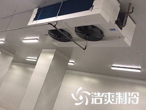 河北周黑鸭新工厂项目1#车间泡芙APP短视频建造
