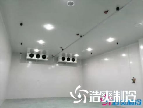 上海巴洛美巧克力食品泡芙APP短视频建造设计