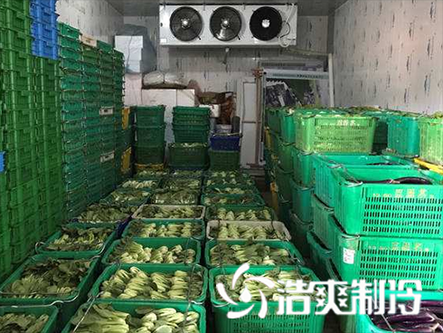 生鲜食品物流泡芙APP短视频