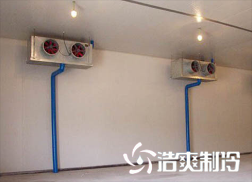 蛋品低温泡芙APP短视频建造