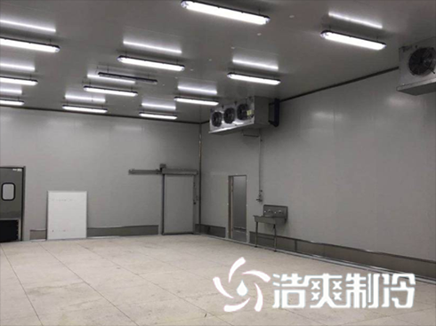 泡芙APP短视频建造费用