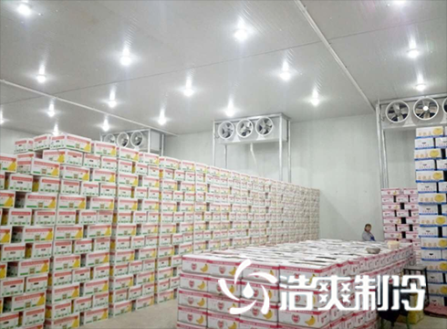 食品泡芙APP短视频建造价格