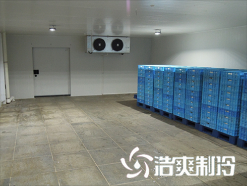 食品泡芙APP短视频建造价格