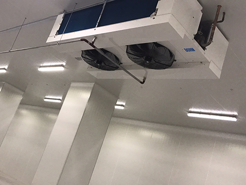 河北周黑鸭新工厂项目1#车间泡芙APP短视频建造工程案例