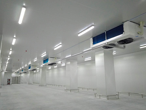 河北周黑鸭新工厂项目1#车间泡芙APP短视频建造工程案例