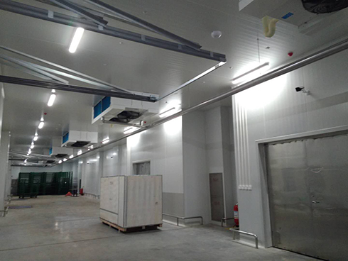 河北周黑鸭新工厂项目1#车间泡芙APP短视频建造工程案例